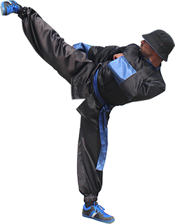 Kung-fu Styles